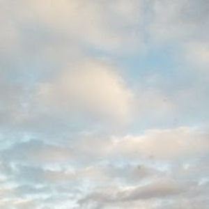 Meet your Posher, Mackenzie